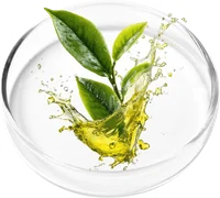 Tea Tree Oil